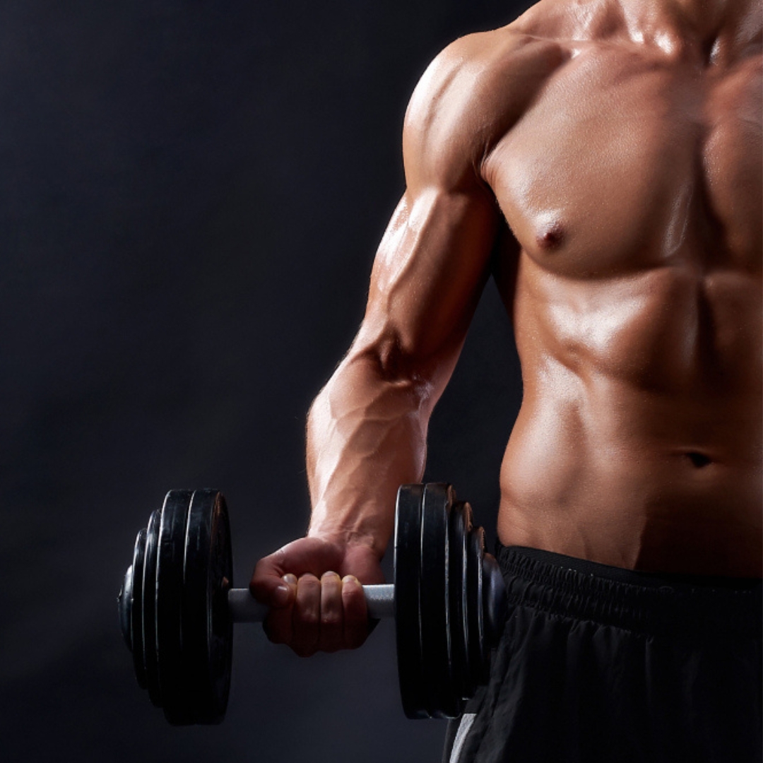 Suplementos Fitness